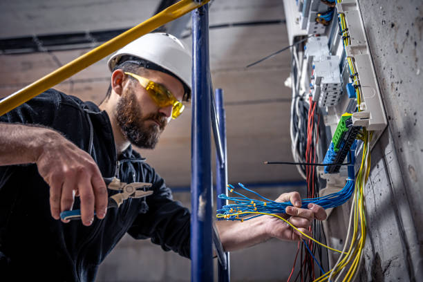 Best Electric Panel Repair  in Hudson, MI