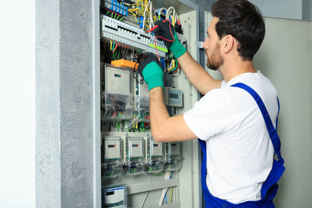 Best Electrical System Inspection  in Hudson, MI