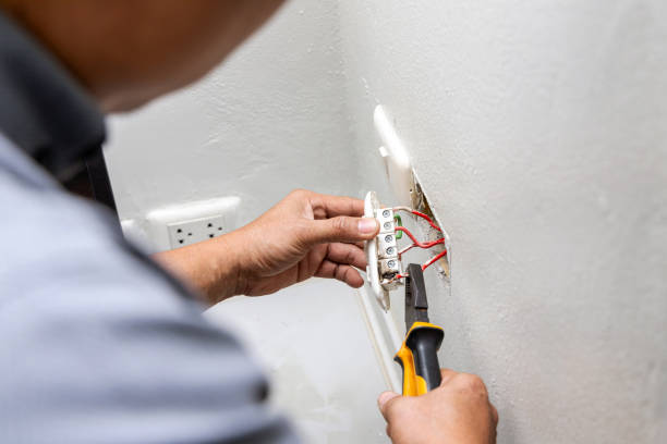 Best Residential Electrician Services  in Hudson, MI